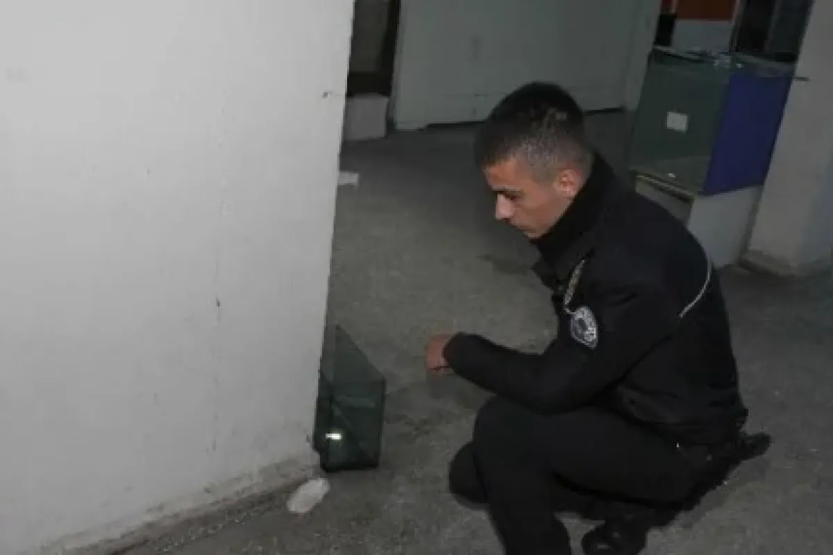 Kuşları çaldınız da onlardan ne istediniz ?