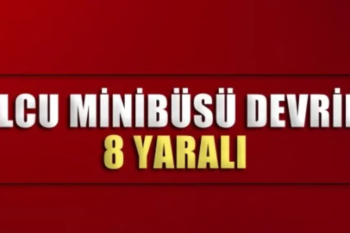 Yolcu minibüsü şarampole devrildi