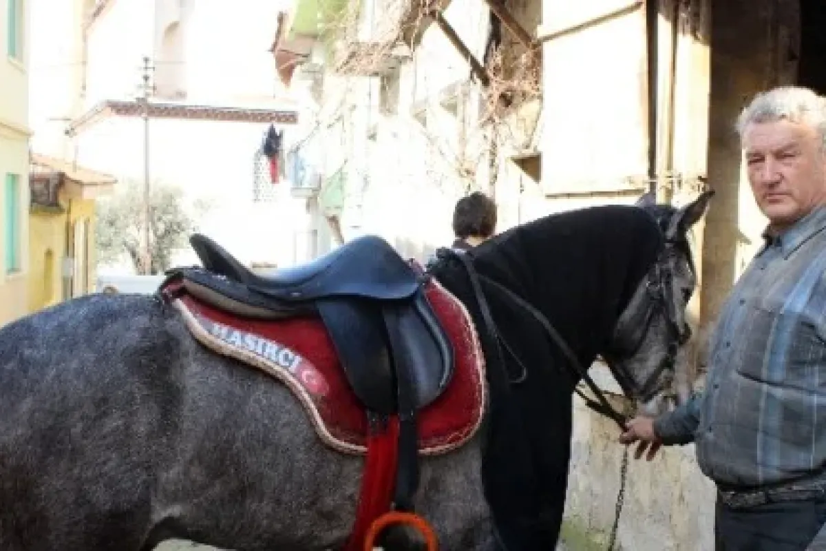 At sevgisi hukuku bıraktırdı