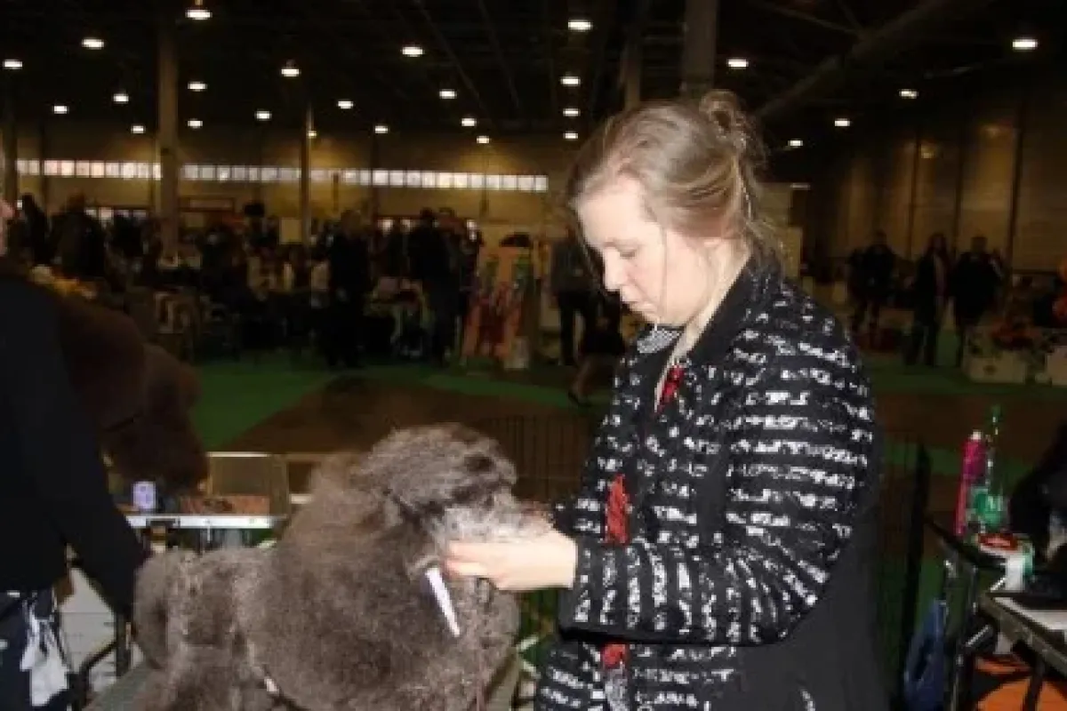 Köpek fuarından ilgin görüntüler