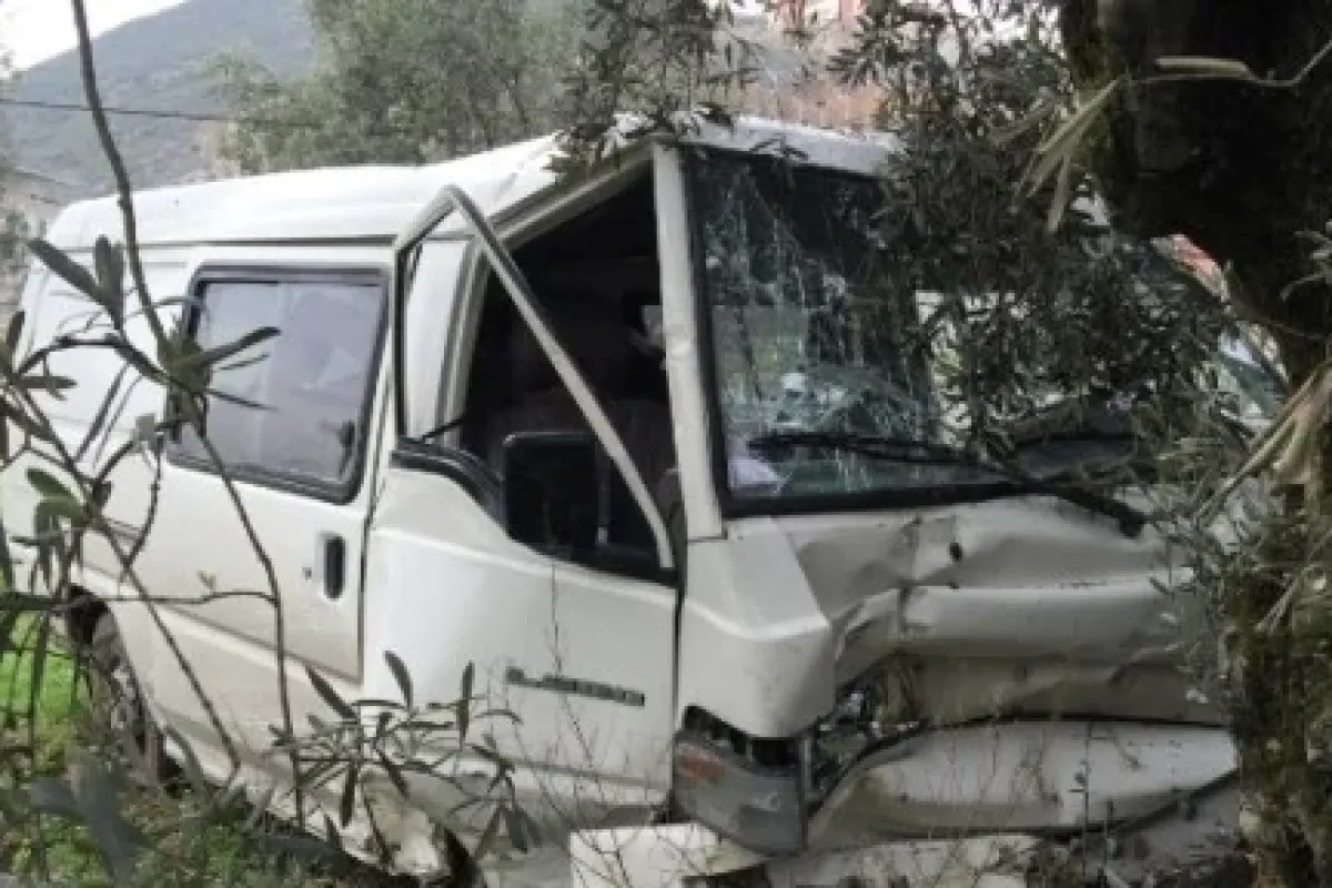 Araç zeytinliğe uçtu