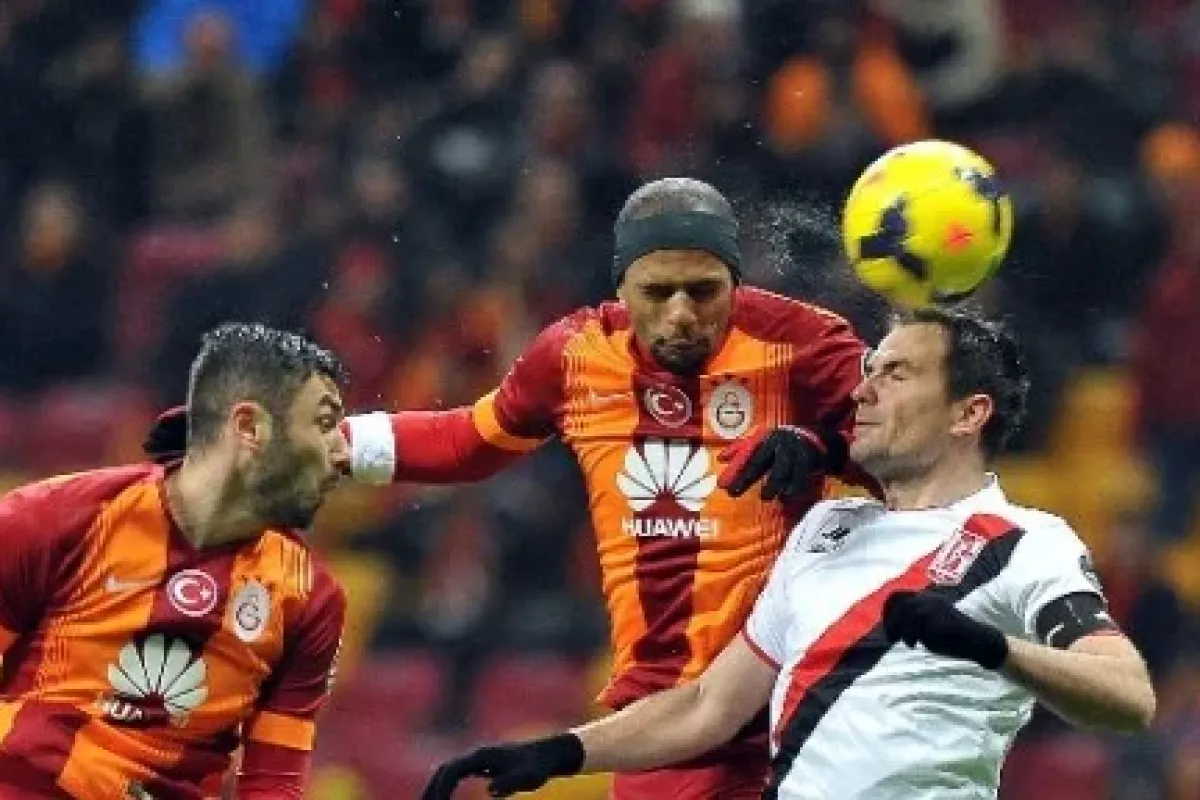 Aslan farka gidiyor