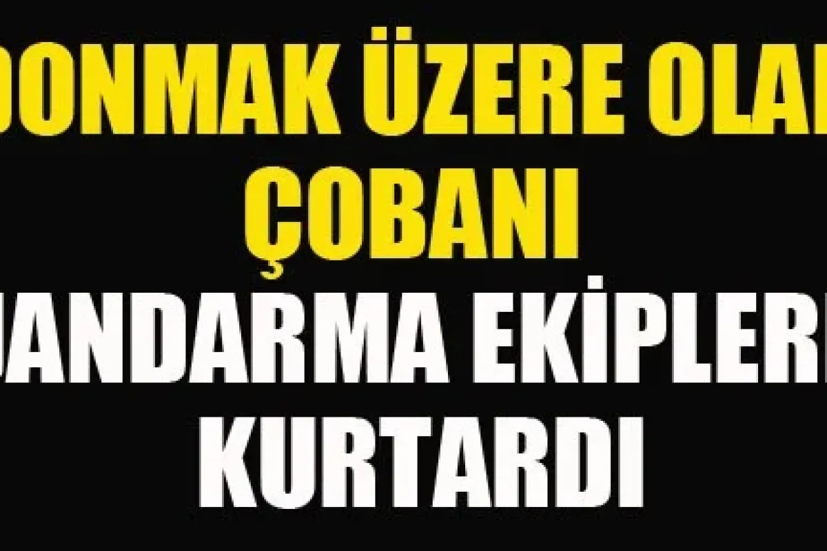 Donmaktan Jandarma kurtardı
