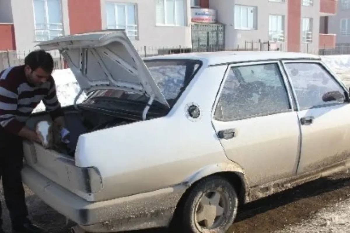 Bagajdaki buzağı trafik cezası kurbanı
