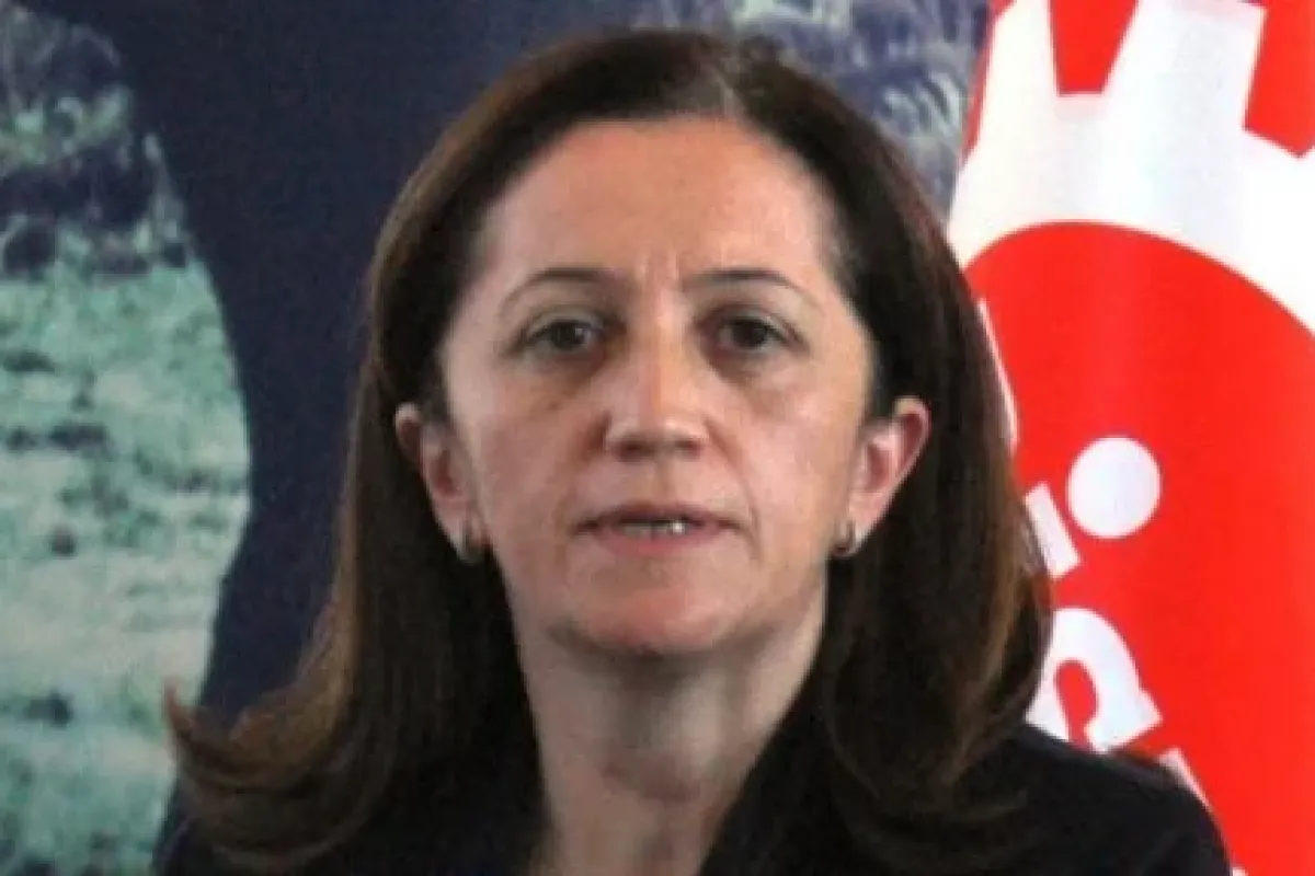DİSK Genel Sekreteri serbest bırakıldı