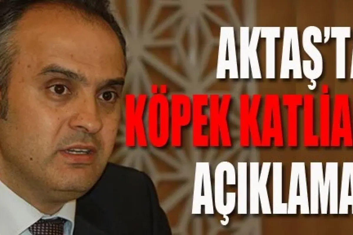 Aktaş'tan Köpek Katliamı Açıklaması