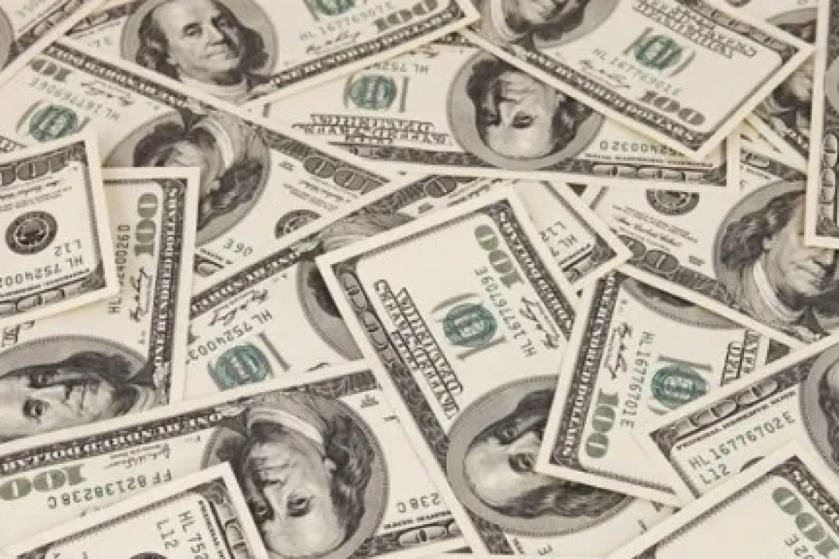 Dolar 2,48’in altında