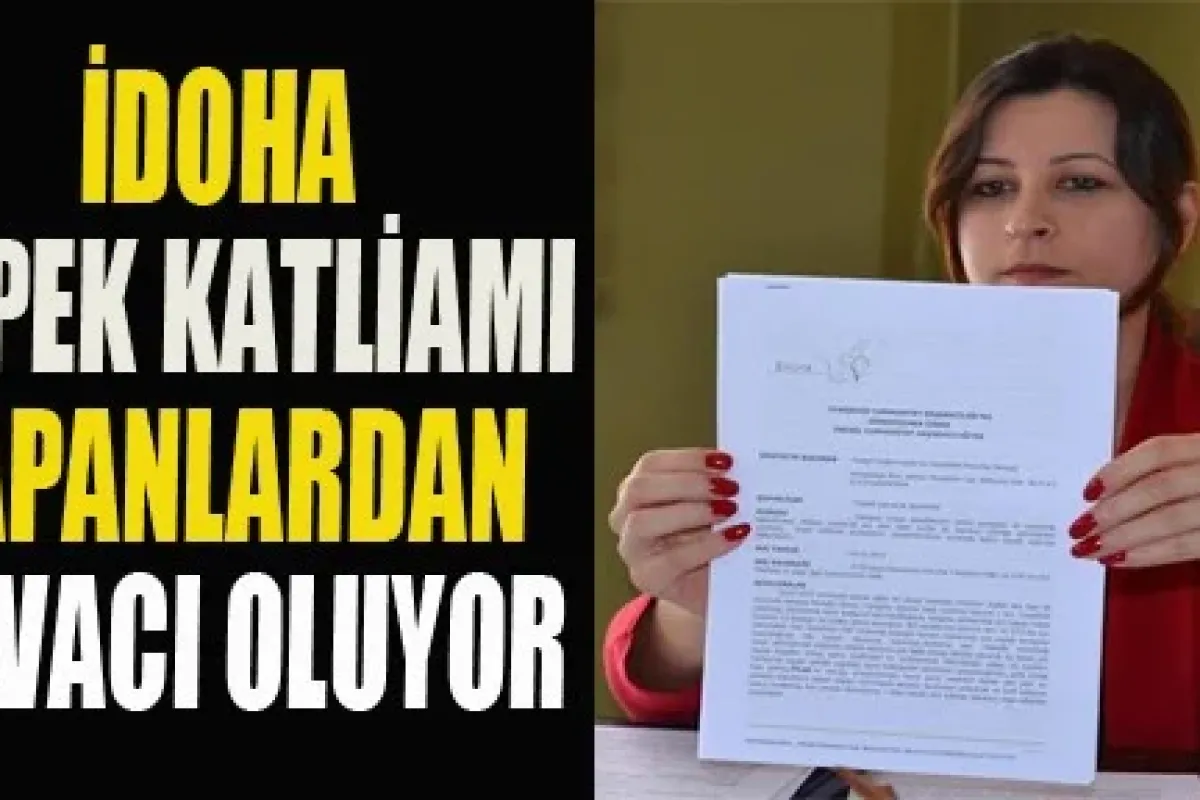 İdoha Köpek Katliamı Yapanlardan Davacı Oluyor