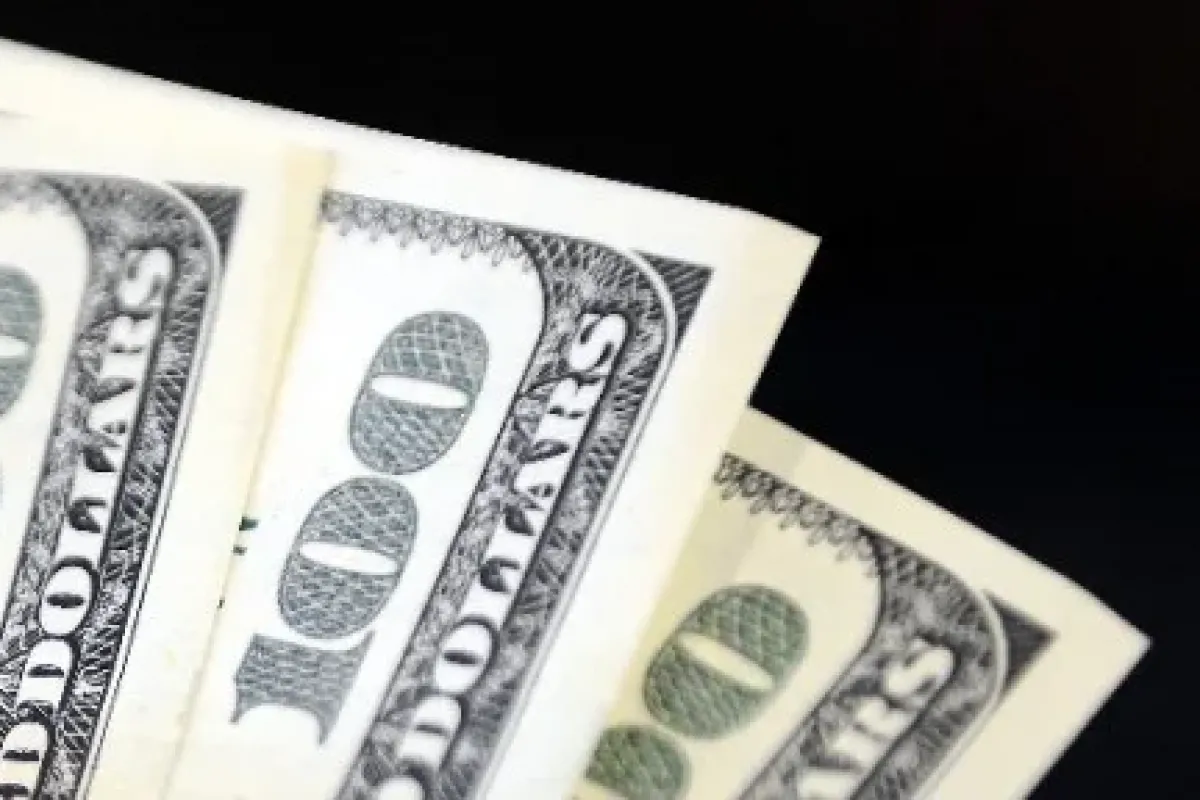 Dolar 2,51’i geçti