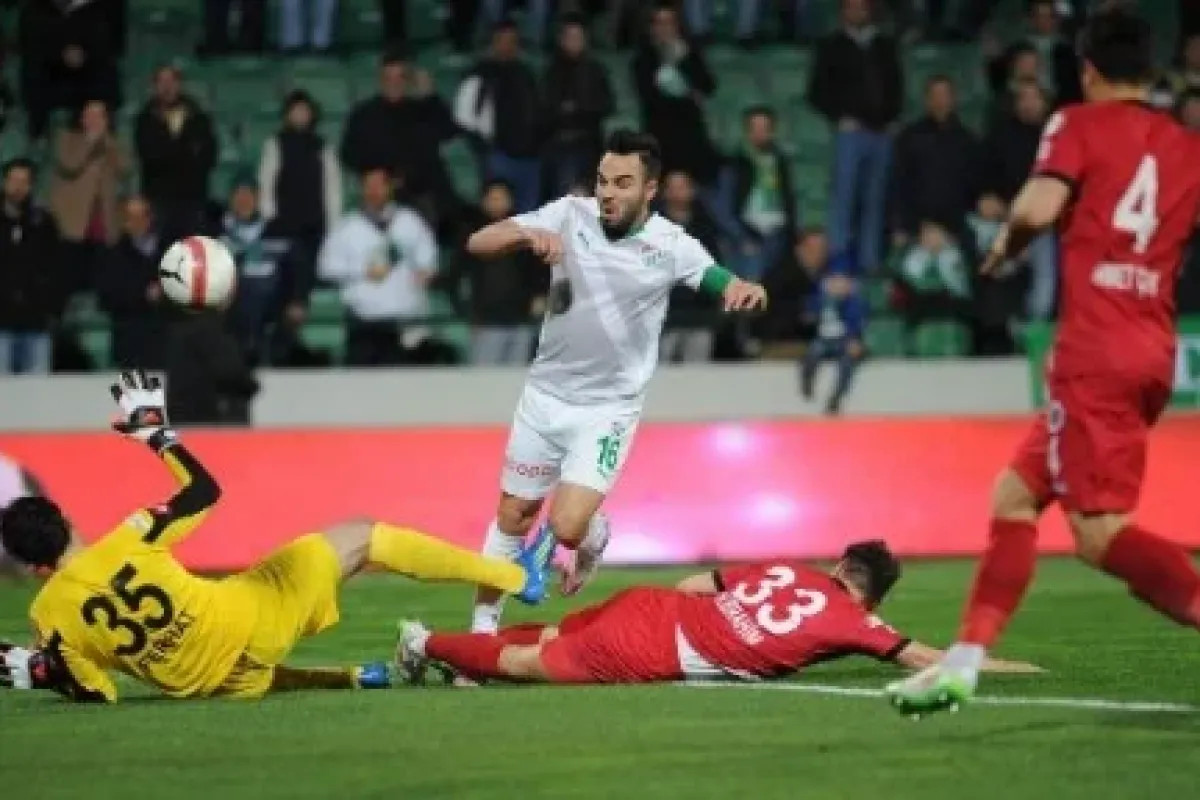 Timsah çok kızardı