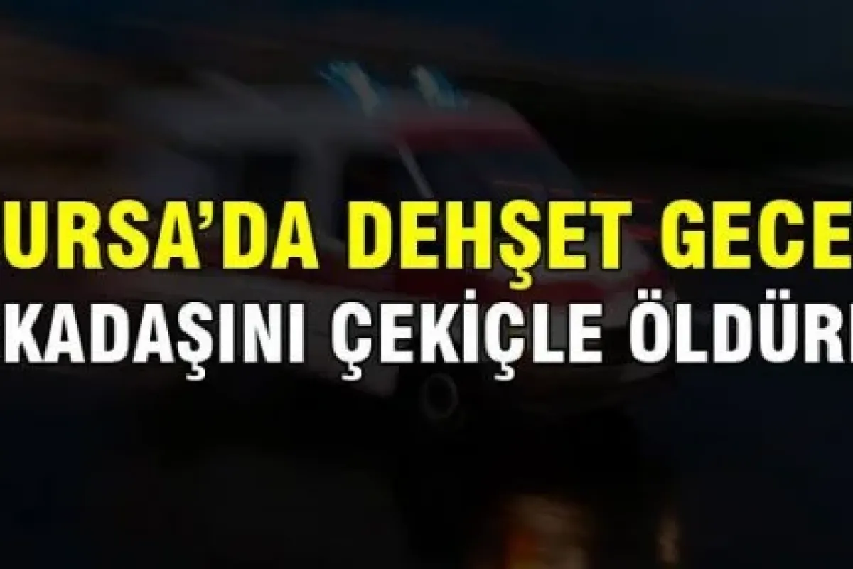 Bursa'da dehşet gecesi !