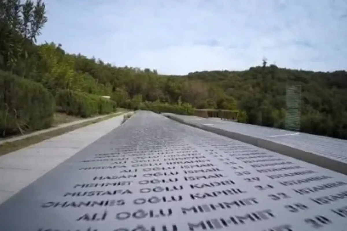 Türkiye zaferini kutladı şehitlerini andı