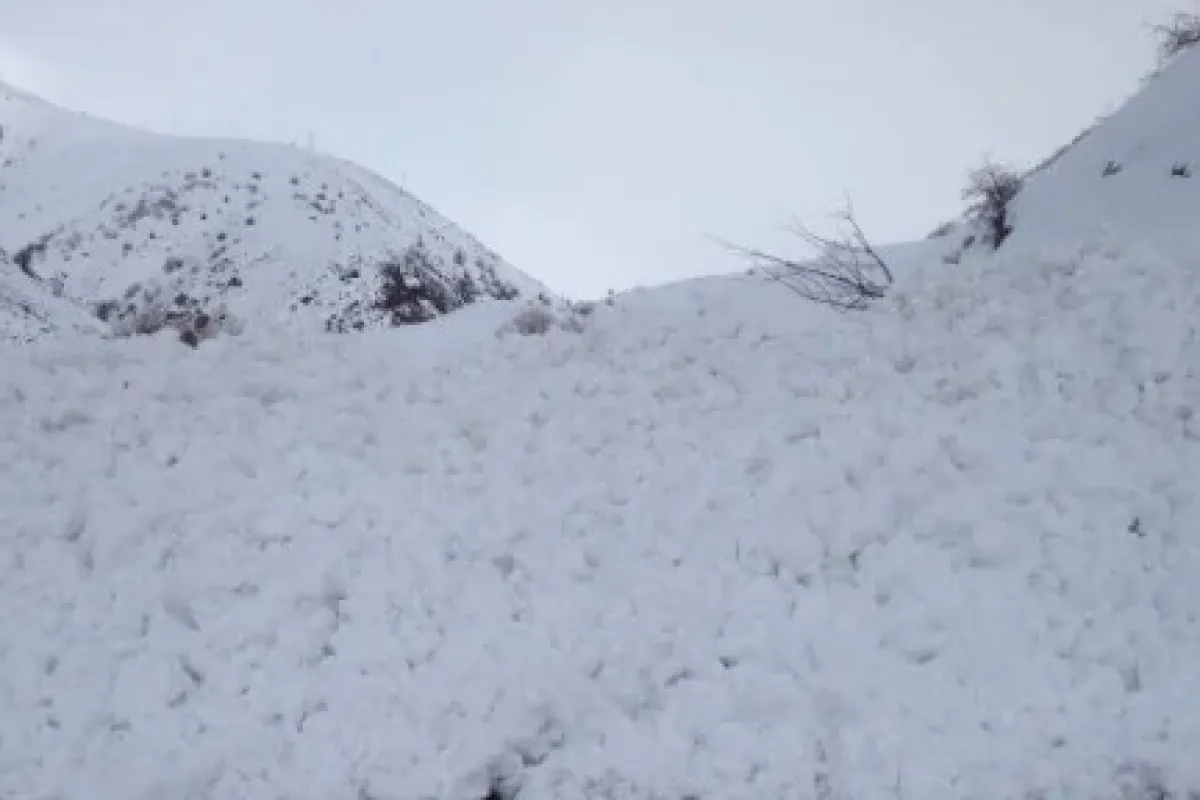 Bingöl’de çığ düştü