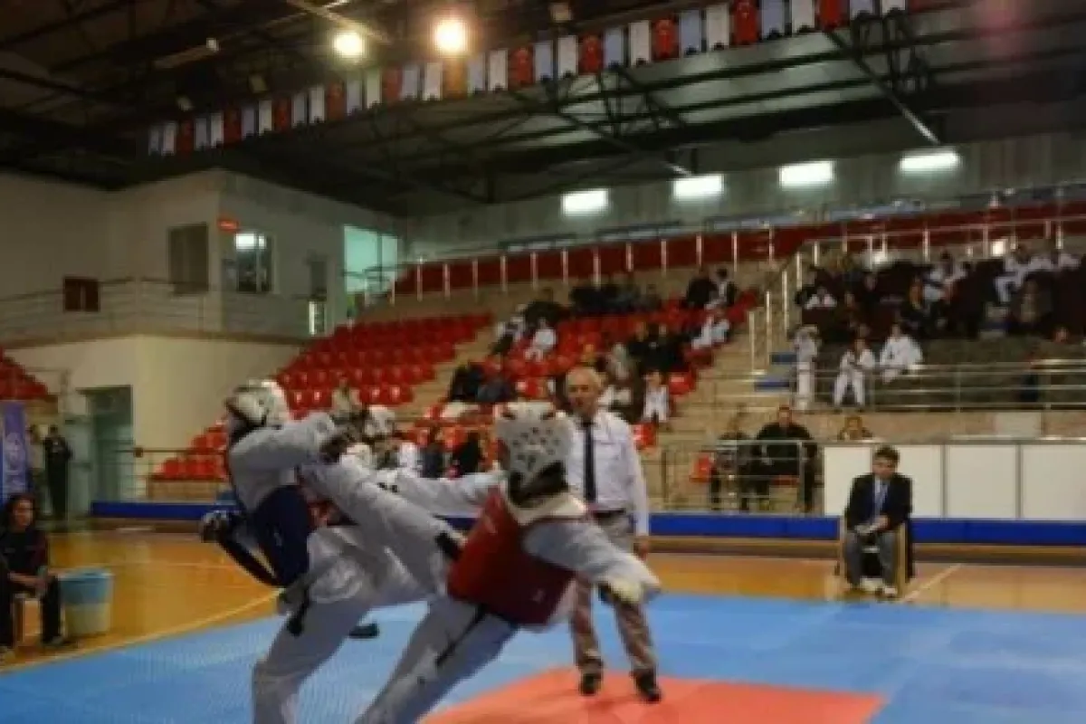 Milli taekwondocu Rusya’da altın madalyaya uzandı