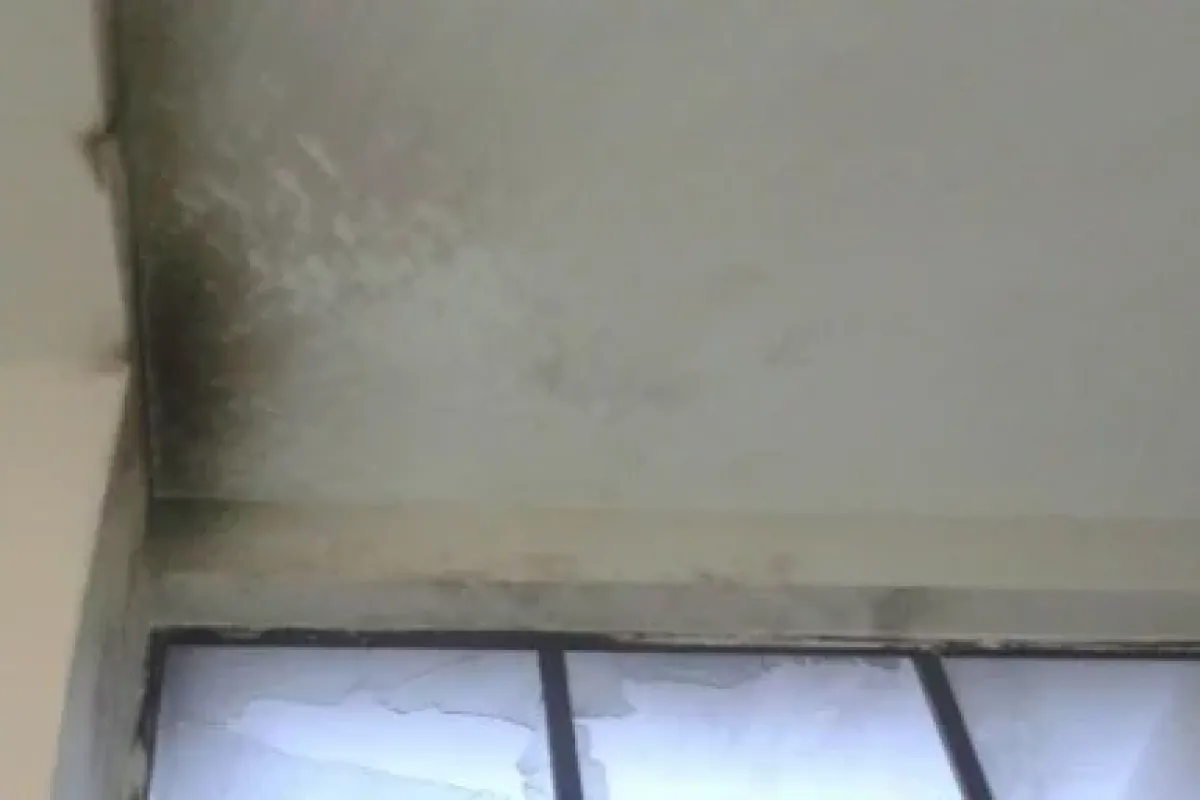 Edaş’a molotoflu saldırı