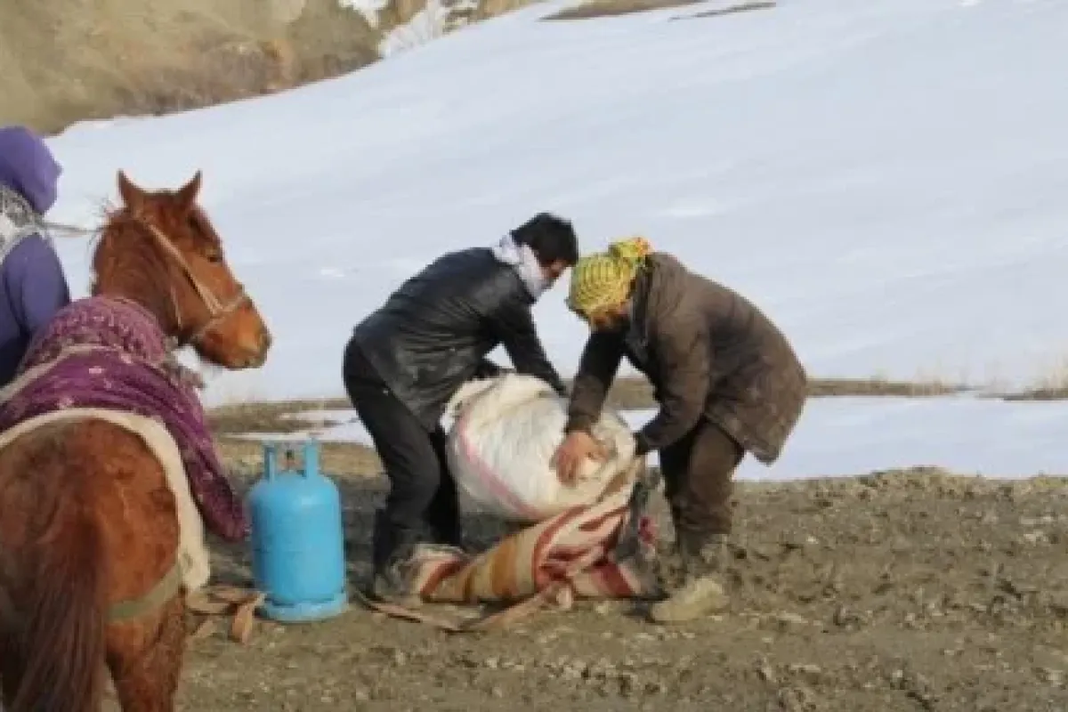 Vahşi Batı değil Van