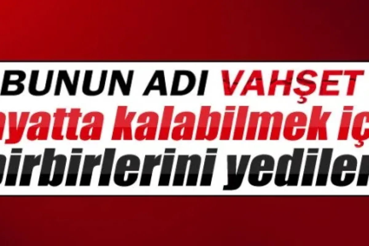 Bunun adı vahşet!