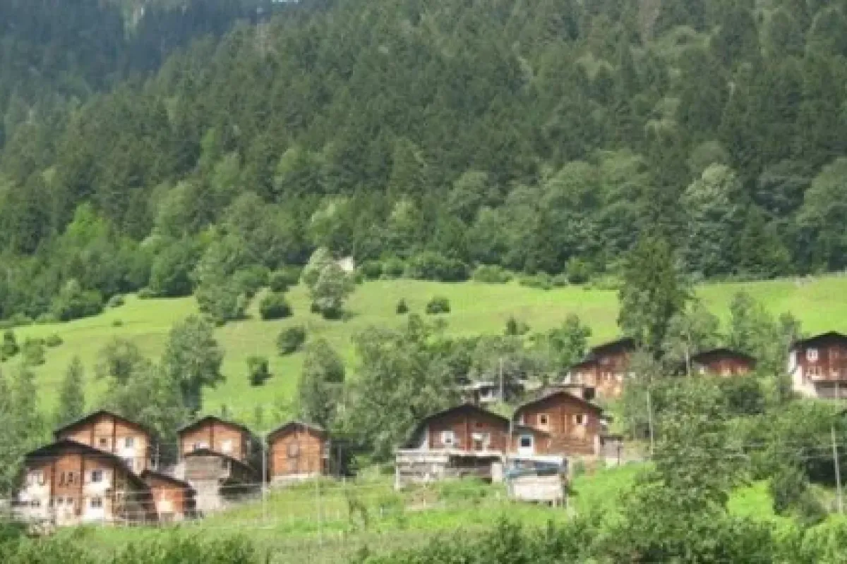 "Doğu Karadeniz gen merkezi"