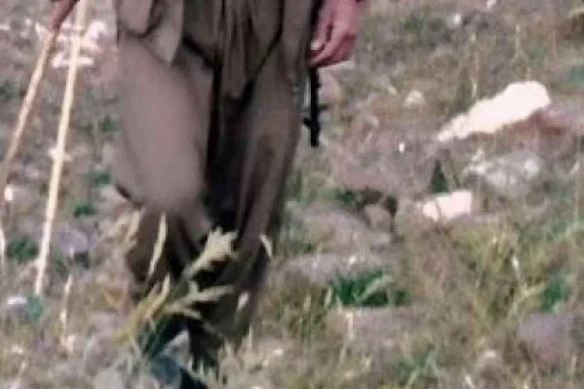 Çatışmada öldürülen PKK’lı katil çıktı