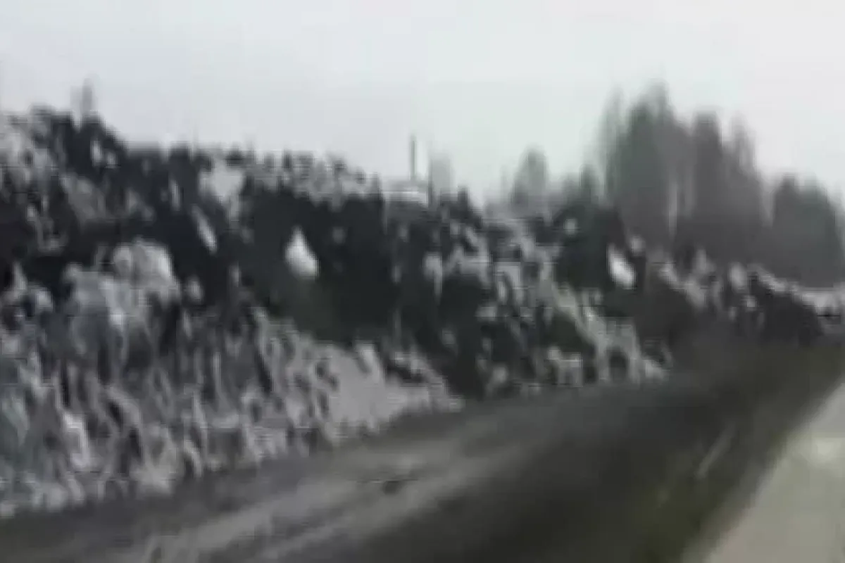 Önüne geleni yuttu