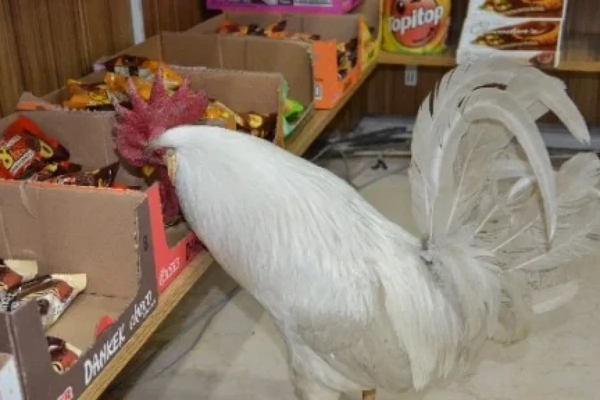 Abdi’yi görenler gözlerine inanamıyor