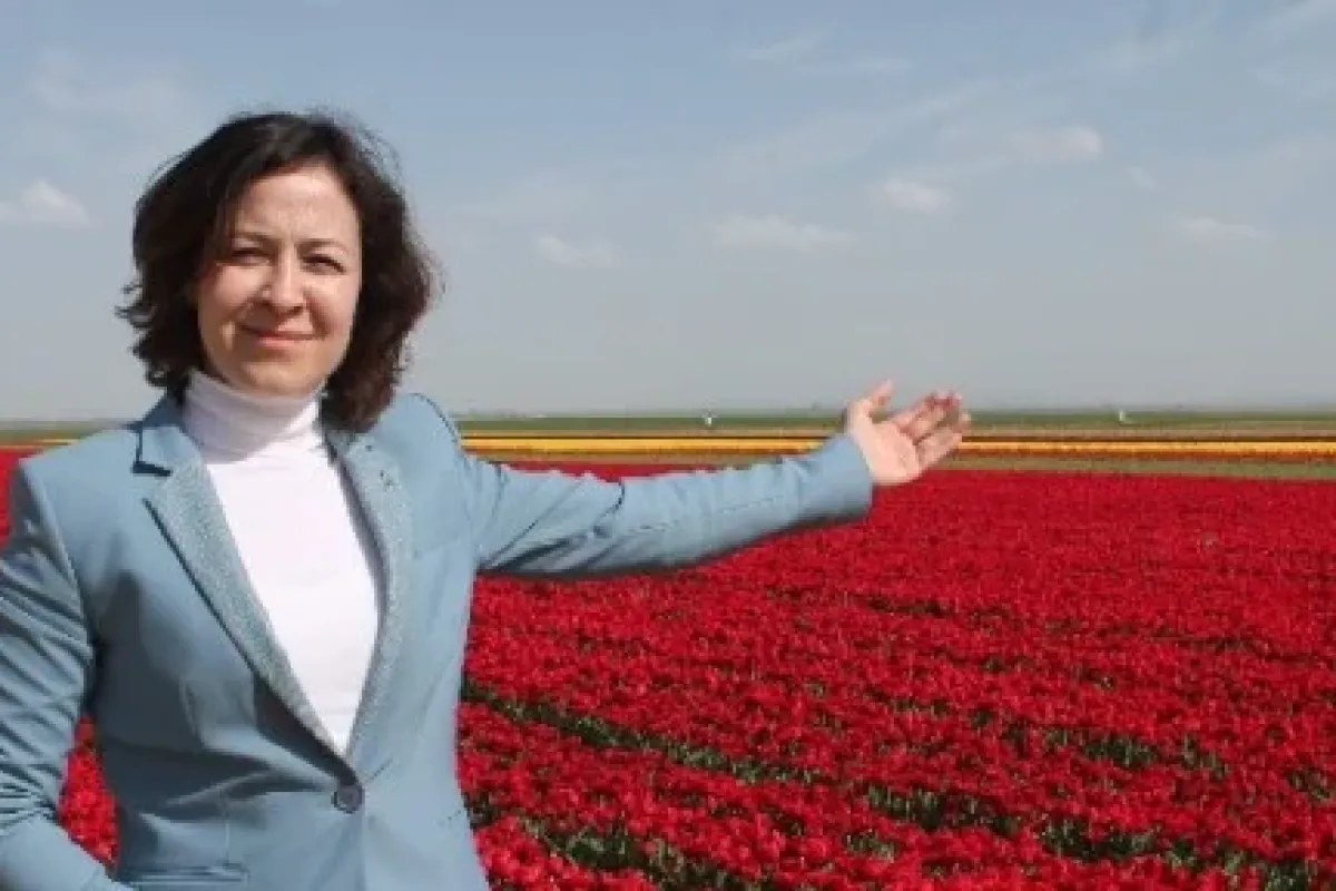 Türkiye’nin laleleri burada yetiştiriliyor