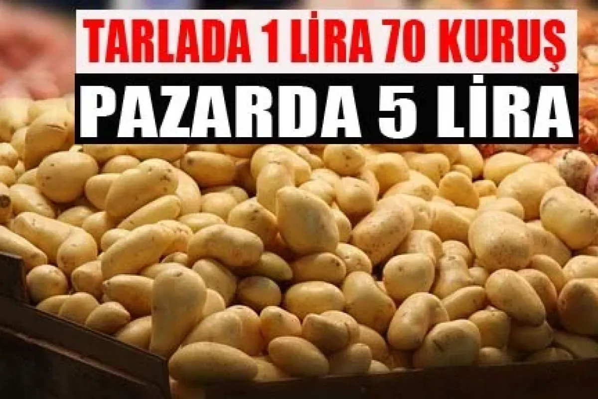 Patates tarlada 1 lira 70 kuruş pazarda 5 lira