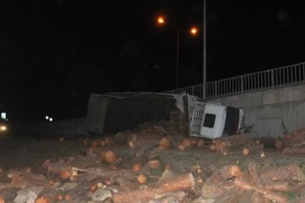 Odun yüklü kamyon freni patlayarak devrildi: 1 yaralı