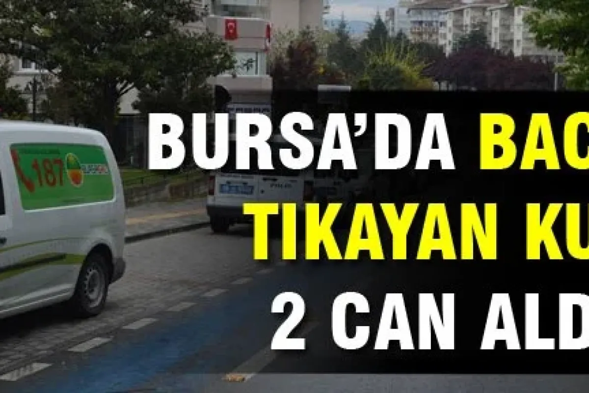 Bursa'da bacayı tıkayan kuş iki cana mal oldu!