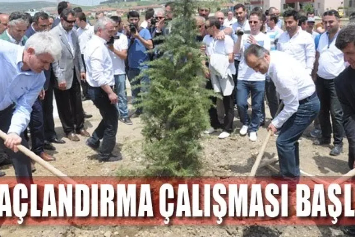 Ağaçlandırma Çalışması Başladı