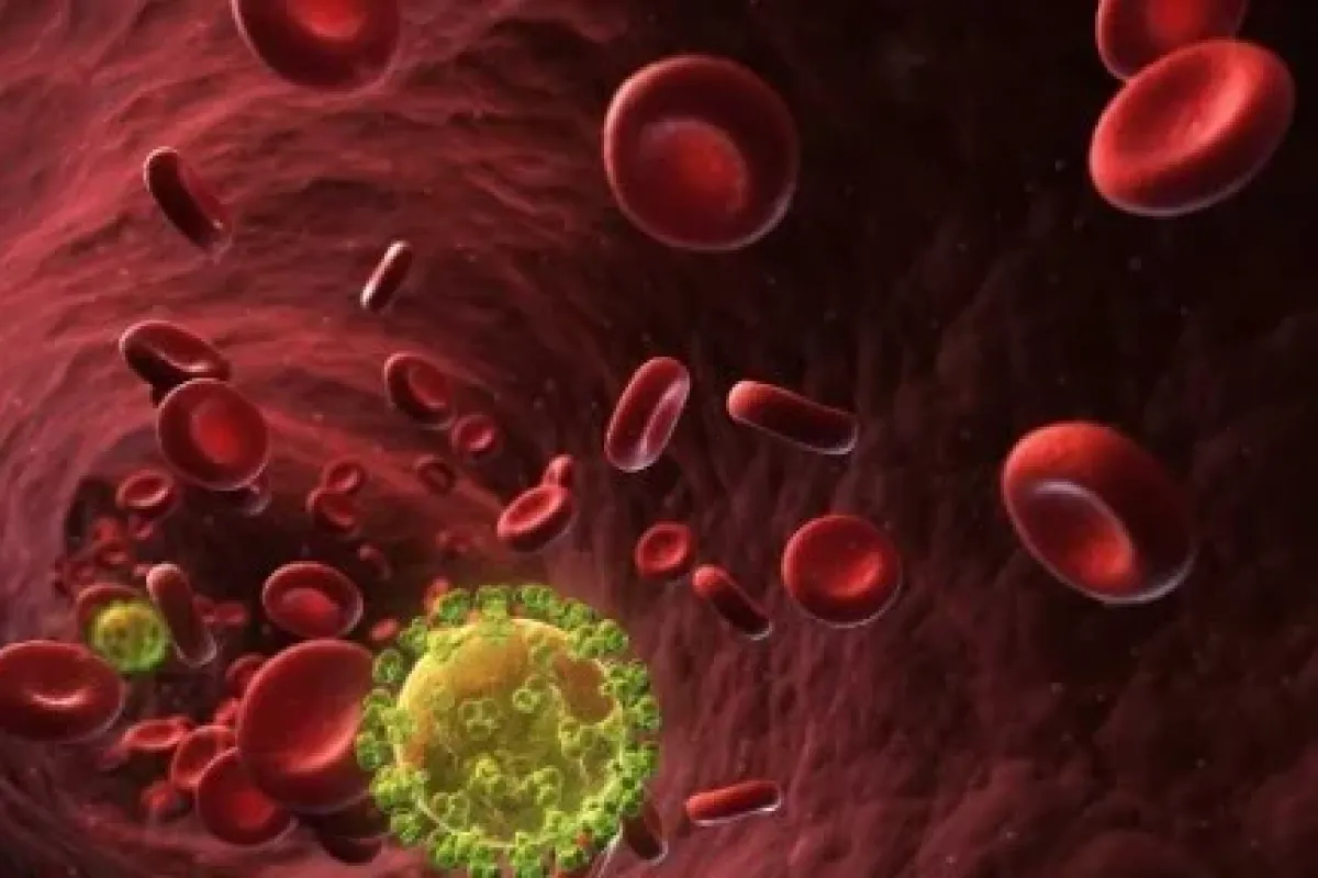 ABD’li profesör HIV’e çare buldu