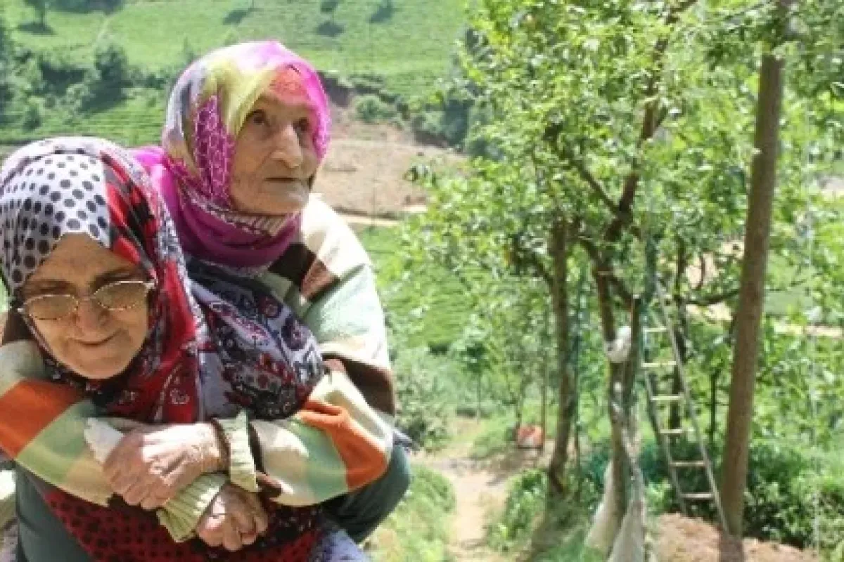 Hayırlı gelin !