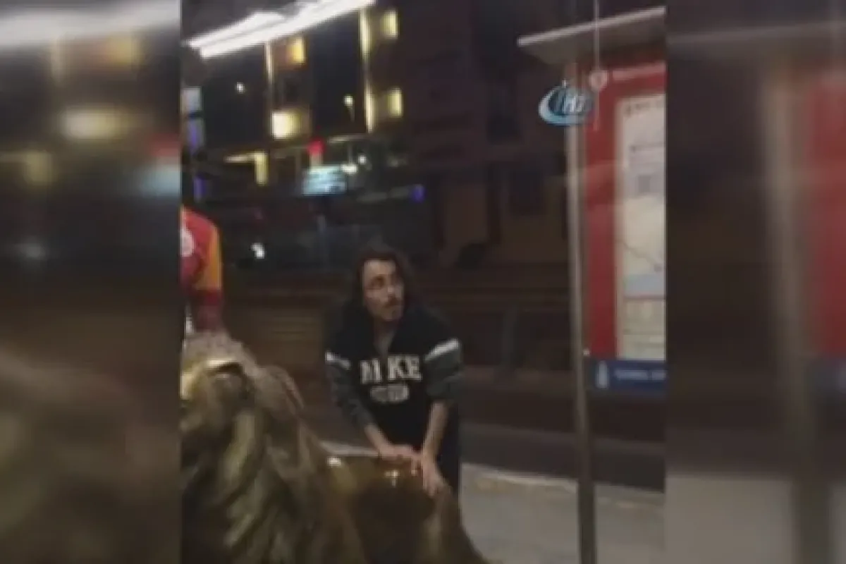 Florya’daki aslan heykelini metrobüsle götürdüler