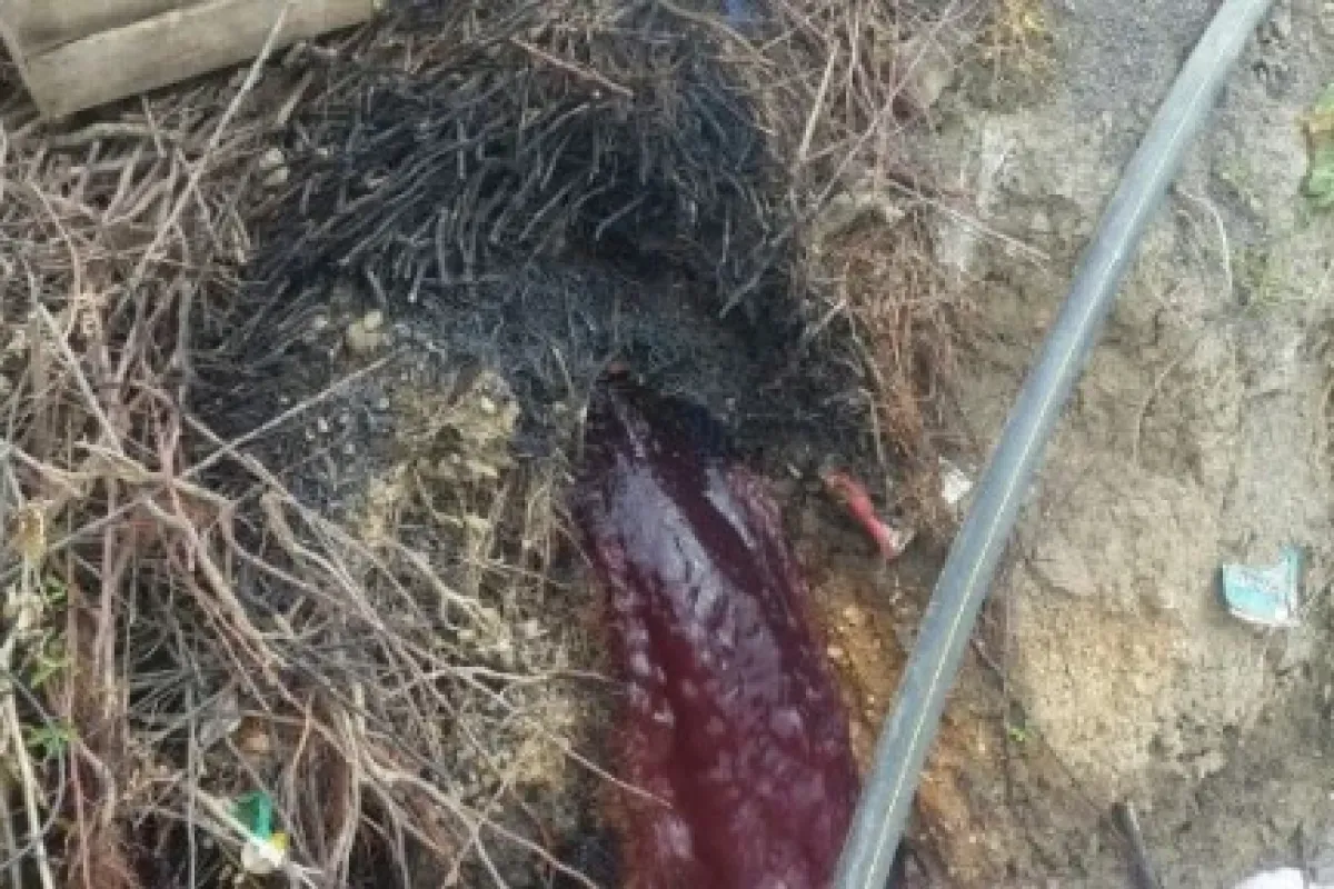Derelerden zehir akıyor