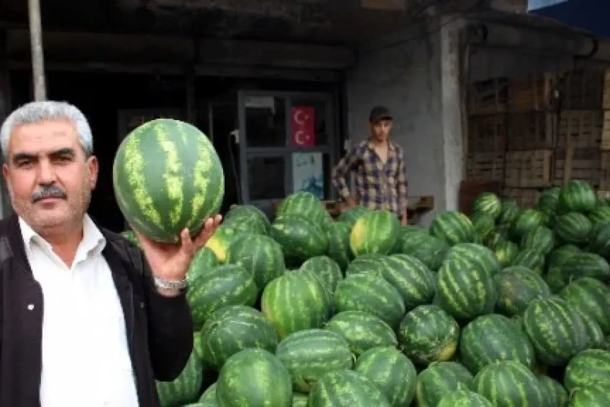 Karpuz yüzde 70 ucuzladı