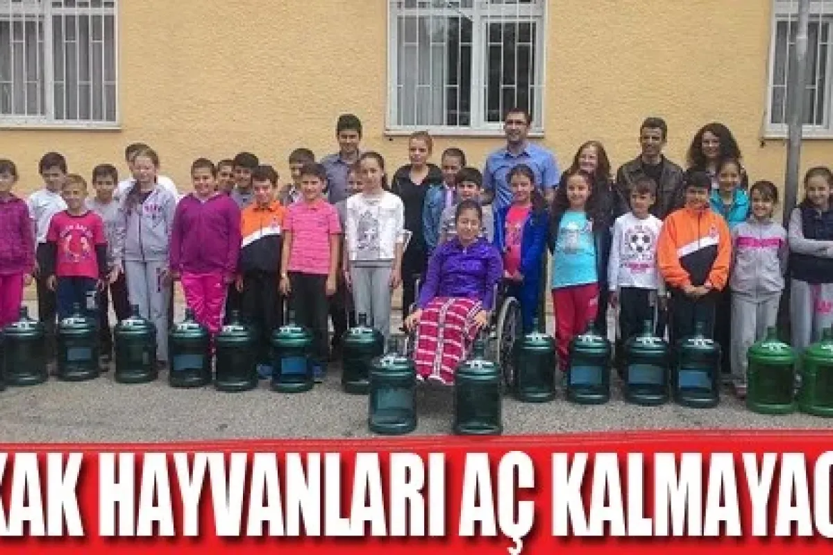 Sokak hayvanları aç kalmayacak
