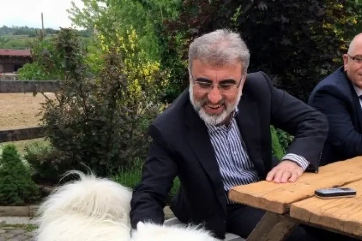 ’Kedileri trafolardan uzak tutun’ açıklamasını yorumladı