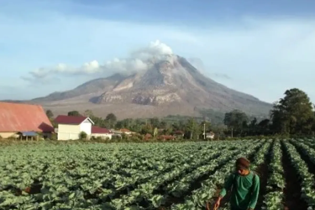 Sinabung yanardağı harekete geçti