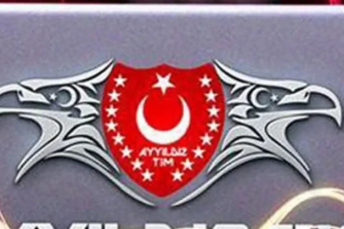 Alman sitelerini hacklediler