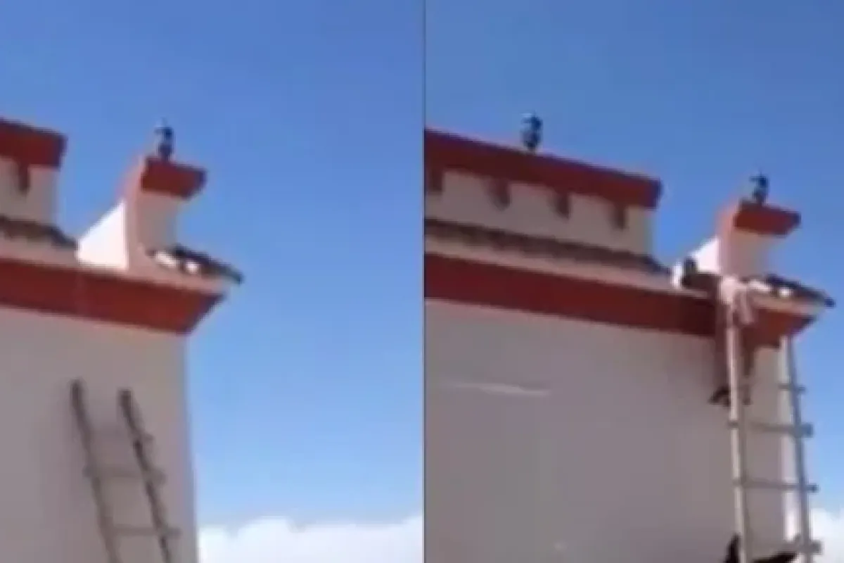 Çıldırtan merdiven şakası !