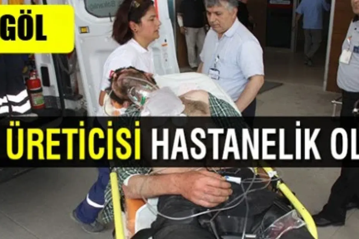 İnegöl'de arıların saldırısına uğrayan adam hastanelik oldu