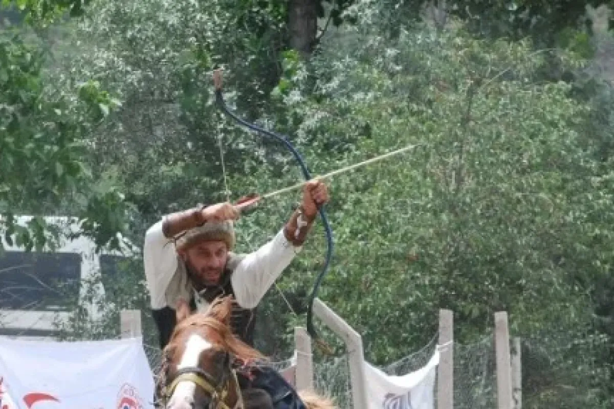 At üzerinde ok attılar
