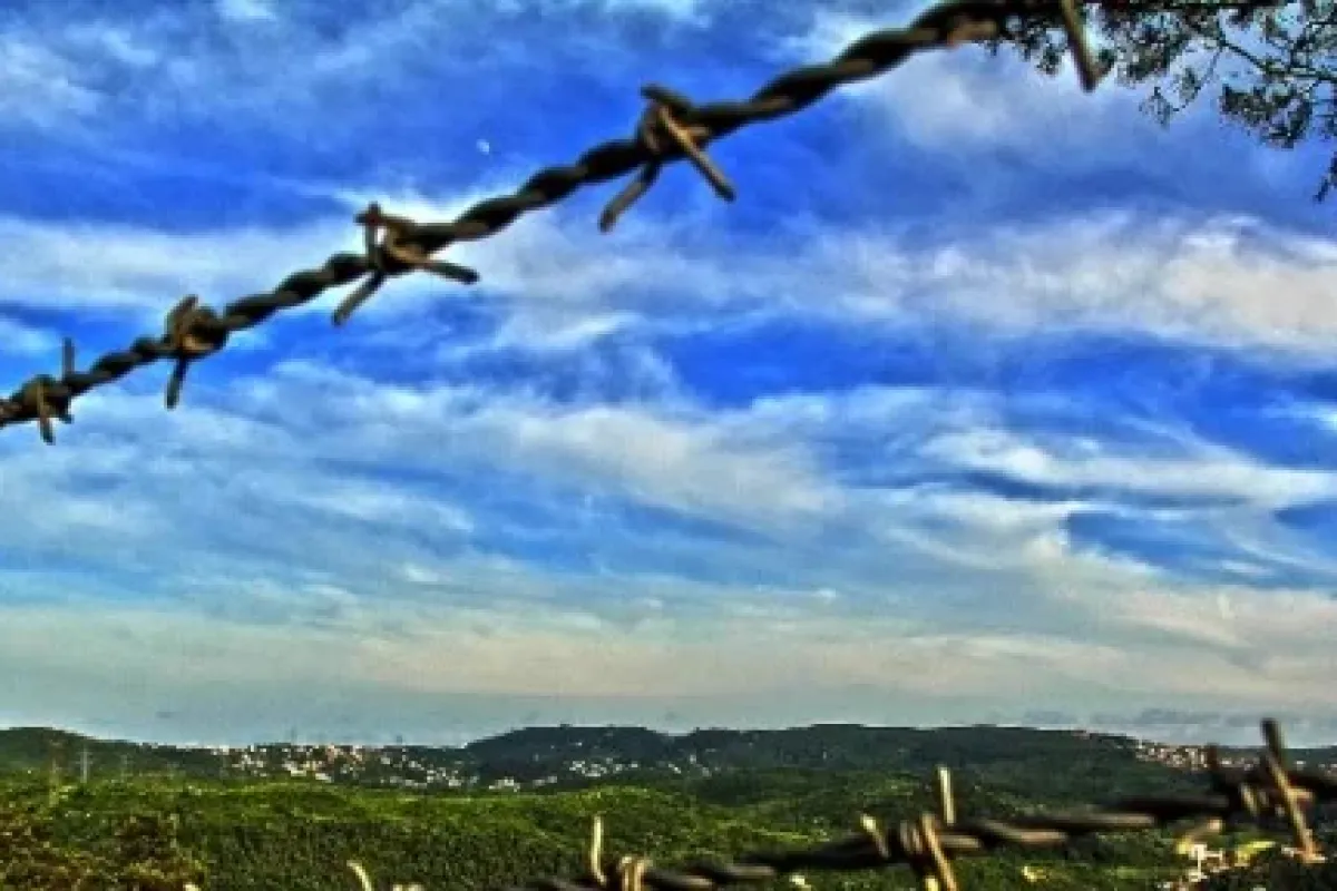 Burası İstanbul! Yeşil ve maviden İstanbul’a açılan pencere