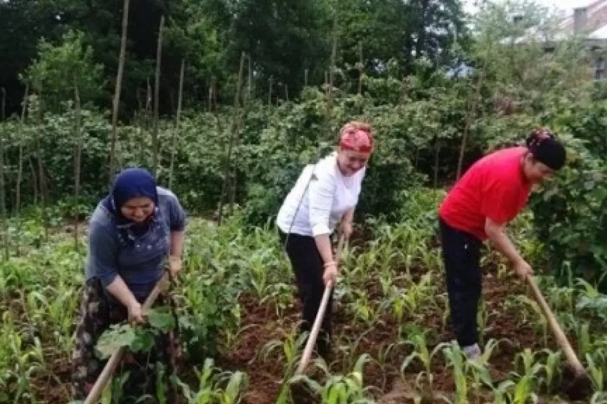 En çok Karadeniz kadını çalışıyor