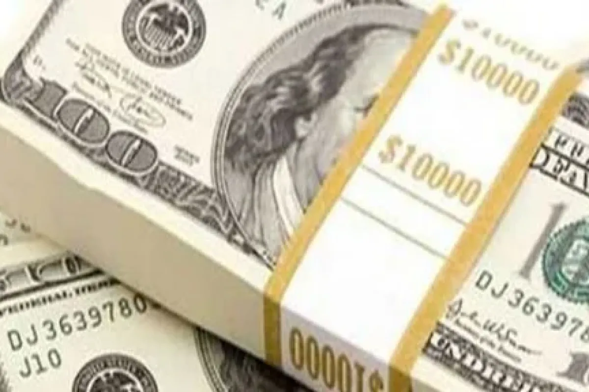 Dolar yükselişe geçti