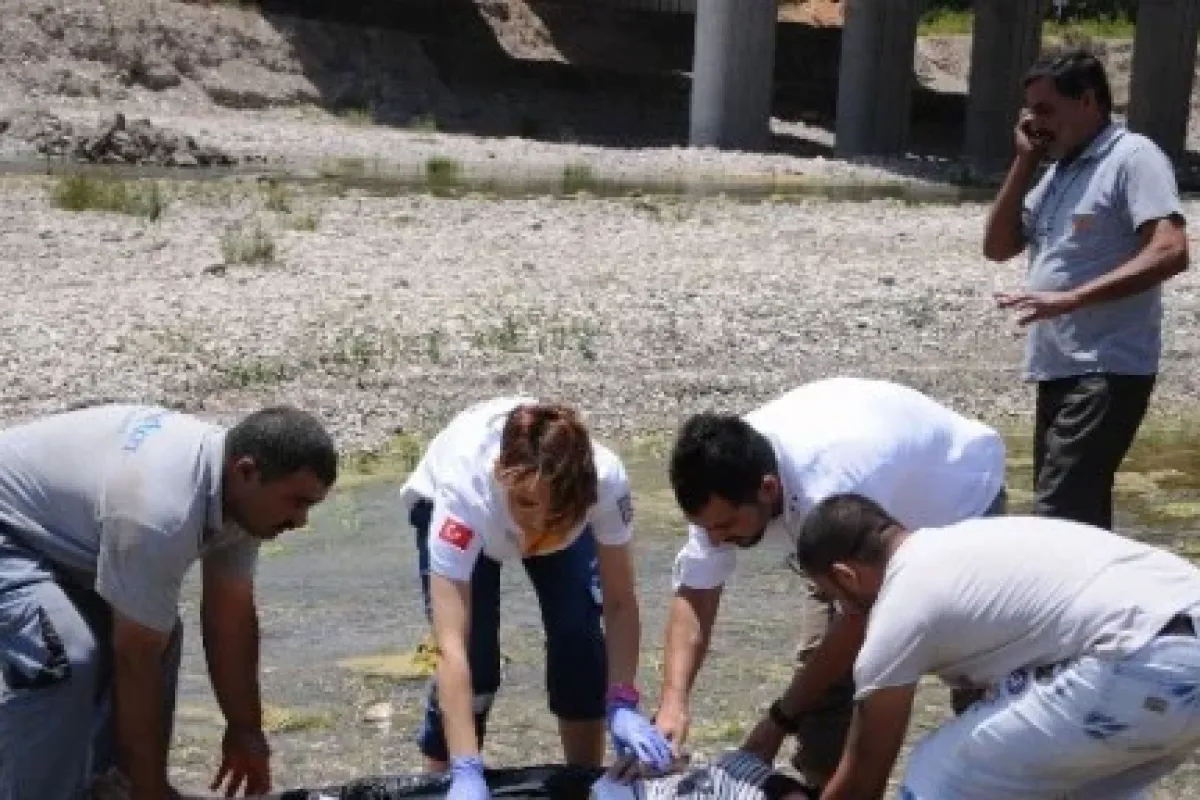 2 gündür aranan kadın suyun içinde baygın bulundu