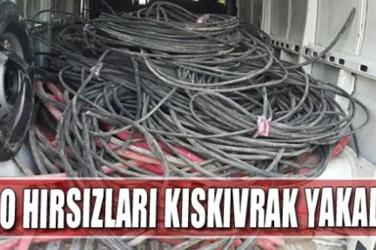 Kablo hırsızları kıskıvrak yakalandı