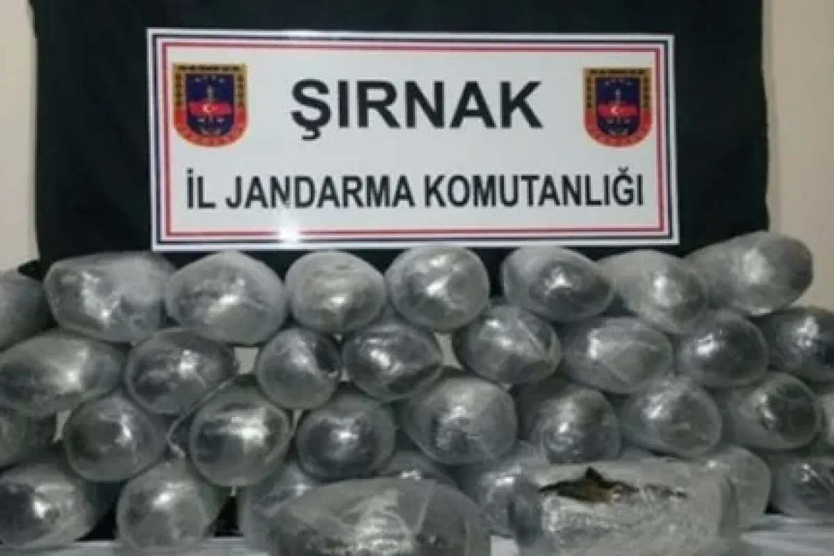 190 kilo uyuşturucu jandarmaya takıldı