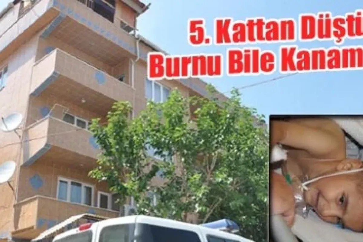 5. Kattan Düştü, Burnu Bile Kanamadı!