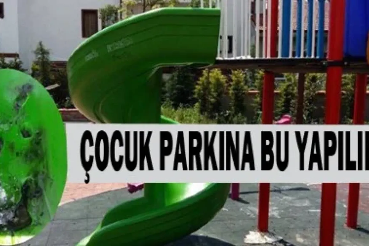 Çocuk Parkına Bu Yapılır mı?